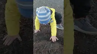 Первые всходы осмотрели 👌