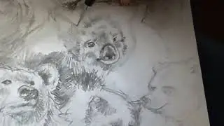 Koala pencil drawing speed paint - what AI still cannot do!