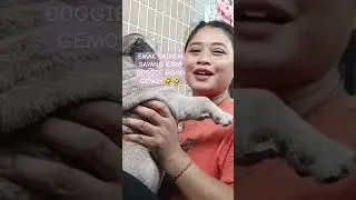 MAMAK SAYANG MOMO 