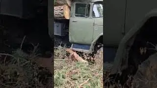 ЖАДНЫЙ ВОДИТЕЛЬ 🤯