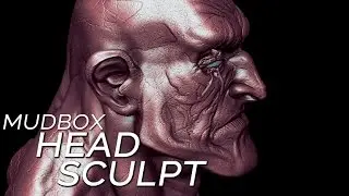 Mudbox BASIC HEAD SCULPTING tutorial