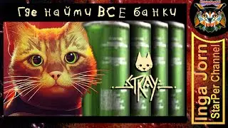 ВСЕ БАНКИ 🥫 с энергетическим напитком в STRAY 🐈 где найти