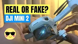 DJI Mini 2 aka Mavic Mini 2 🤔 Will it shoot RAW? 🤔