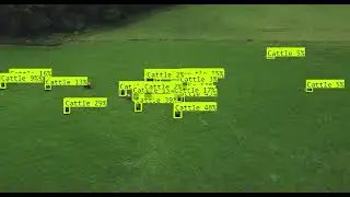 Drone AI | Counting Animals With Computer Vision | Object Detection AI Models