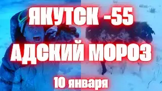 В Якутск адские морозы сегодня  -55 градуса Животные замерзают на ходу