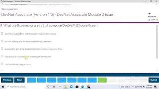DevNet Associate Module 2 Exam | The DevNet Developer Environment Exam | CISCO DEVNET COURSE