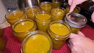 BELL PEPPER SAUCE Recipe | Great Flavor Enhancer | Cooking Sauce