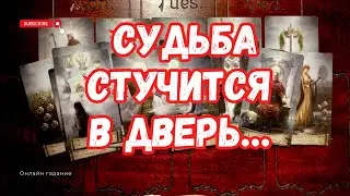 СУДЬБА СТУЧИТСЯ в ДВЕРЬ!🔥 ВСЁ, что РАССКАЖУ, СКОРО СБУДЕТСЯ❗️🍀Чем ВОЗНАГРАДИТ ВСЕЛЕННАЯ? Таро