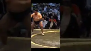 Тамаваси VS Сёдай Нагоя Басё 2024 Сумо #japan #sumo #sport #сумо #япония #sport #mma #ufc #wwe