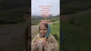 ЧАЙНЫЕ ПЛАНТАЦИИ В МАЦЕСТЕ #сочи2023