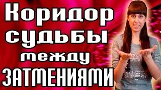 СОЛНЕЧНОЕ И ЛУННОЕ ЗАТМЕНИЕ - КАК ИЗМЕНИТЬ СВОЮ ЖИЗНЬ? -  КАК ИЗМЕНИТЬ СВОЮ СУДЬБУ?