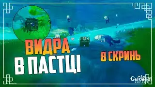 Врятуйте Видру в Пастці | 8 Скринь Видр | Genshin Impact Українською