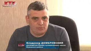 Проблема собак