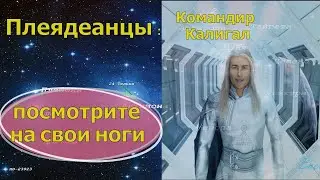 Плеядеанцы (Командир Калигал): - посмотрите на свои ноги