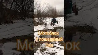 #мотоблок