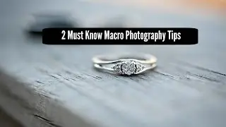 2 Must Know Macro Photography Tips For Razor Sharp Images