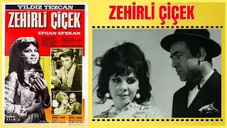 Zehirli Çiçek 1967 | Yıldız Tezcan Efgan Efekan | Yeşilçam Filmi Full İzle