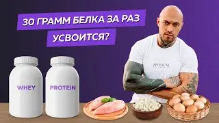 Раскрываем популярный миф про белок