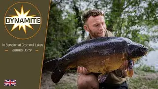 Spring Carp Fishing at Cromwell Lake