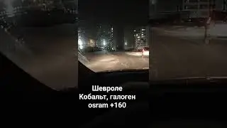 Шевроле Кобальт галогеновые лампы ostan. +160