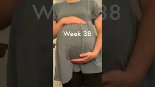 38 Weeks pregnant baby development #bellyprogression