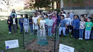 Hazelwood Elementary School – Moon Tree