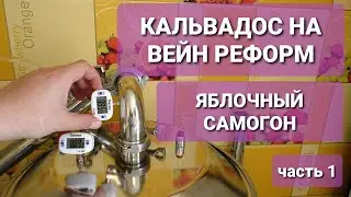 ЭТО НЕ САМОГОН-ЭТО АМБРОЗИЯ ! КАЛЬВАДОС-ЯБЛОЧНЫЙ САМОГОН НА Wein ReForm/Перегон браги из концентрата