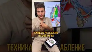 РАССЛАБЛЯЕМ ГРУДНУЮ КЛЕТКУ 🫀