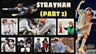 StrayHan (Part 2) - Birthday Edition❤ [Plus Stay's wishes]