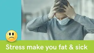 ‪How Stress Can Make You Fat & Sick