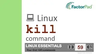 Linux kill command summary with examples