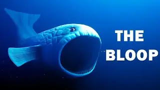 THE BLOOP