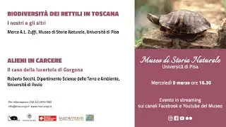 Biodiversità e conservazione dei rettili in Toscana