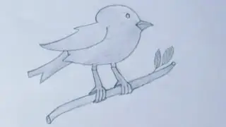 How to draw a Bird ||Bird drawing step by step for beginners #sketch #drawn #art #drawing