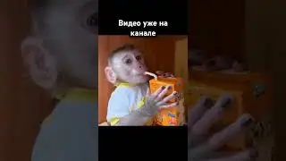 информация