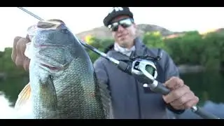 Learn the Tech the all new 2021 Daiwa Zillion SV TW