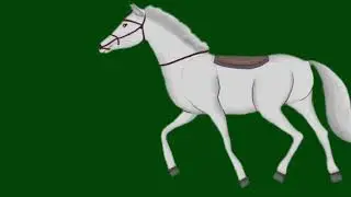 Cartoon horse   green screen video