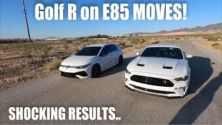 2023 MK8 Golf R DSG (E85) vs Tuned 2019 Mustang GT 10-Speed!