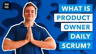 What is Product Owner Daily Scrum?