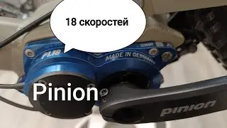 Pinion 18 скоростей. Коробка передач для велосипеда. Замена масла.