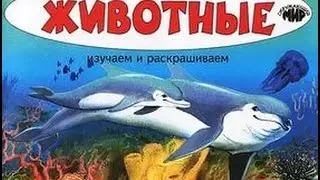 Развивающий мультик для детей! Изучаем морских животных! До 6 лет!