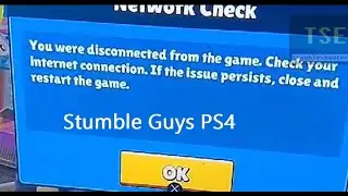 How to fix You were disconnected from the game Check your internet connection error stumble guys ps4