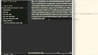 How to Work with GitHub and Multiple Accounts