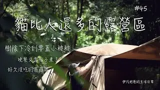 #45 The entire campground is a paradise for cats to play Coleman TX/MDX｜Family Camping in Taiwan