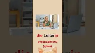 Одинаковые слова, но разные артикли и значения в немецком. Leiter. speakASAP®. Елена Шипилова®.