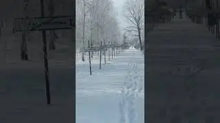 ПРИПЯТЬ 2024 ДОЕХАЛ до ЗОНЫ ОТЧУЖДЕНИЯ 