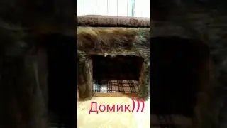 Взяла коробку и сделала домик для кота.