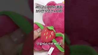 ❤️‍🔥다이소에서 보이면 바로 사야하는 3가지