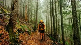 Hiking the PCT prepared me for 2020 (Episode 19 of our 2015 thru hike)