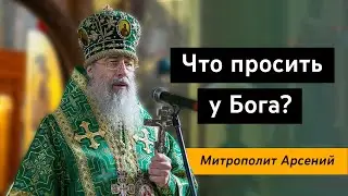 Проповедь митр. Арсения в день памяти прпп. Онуфрия Великого и Петра Афонского 25.6.22 г.